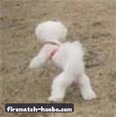 吴敏